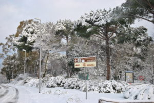 RESIDENZA AURELIA di CASTEL DI GUIDO , la grande neve di Febbraio 2012-