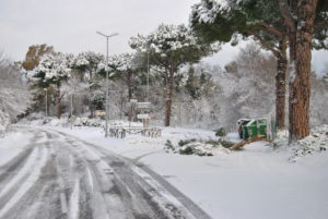 RESIDENZA AURELIA di CASTEL DI GUIDO , la grande neve di Febbraio 2012-