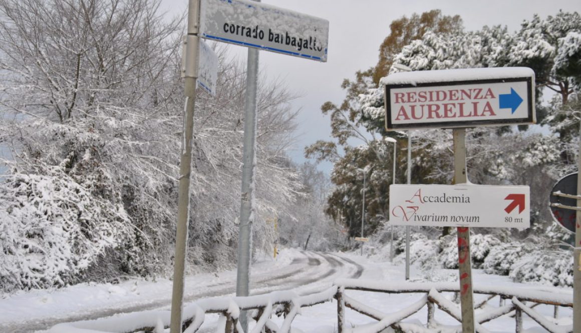 RESIDENZA AURELIA di CASTEL DI GUIDO , la grande neve di Febbraio 2012-