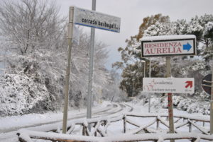 RESIDENZA AURELIA di CASTEL DI GUIDO , la grande neve di Febbraio 2012-