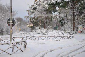 RESIDENZA AURELIA di CASTEL DI GUIDO , la grande neve di Febbraio 2012-