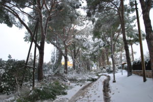 RESIDENZA AURELIA di CASTEL DI GUIDO , la grande neve di Febbraio 2012-