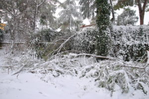 RESIDENZA AURELIA di CASTEL DI GUIDO , la grande neve di Febbraio 2012-