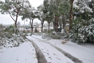 RESIDENZA AURELIA di CASTEL DI GUIDO , la grande neve di Febbraio 2012-