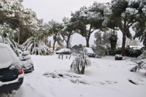 RESIDENZA AURELIA di CASTEL DI GUIDO , la grande neve di Febbraio 2012-