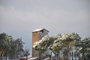 RESIDENZA AURELIA di CASTEL DI GUIDO , la grande neve di Febbraio 2012-