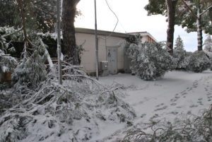 RESIDENZA AURELIA di CASTEL DI GUIDO , la grande neve di Febbraio 2012-