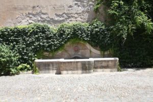 I Fontanili della Campagna Romana-Fontana interno Castello di Torre in Pietra