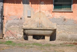 I Fontanili della Campagna Romana-Fontanile Castello di San Giorgio MACCARESE