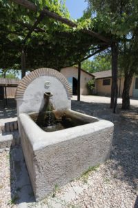 I Fontanili della Campagna Romana-Fontanile interno Castello di Torre in Pietra