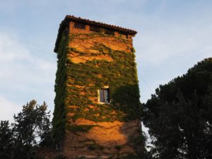 Serbatoi idrici della Campagna Romana- Serbatoio della TORRE della RESIDENZA AURELIA di Castel di Guido