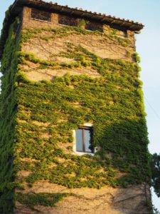 Serbatoi idrici della Campagna Romana- Serbatoio della TORRE della RESIDENZA AURELIA di Castel di Guido