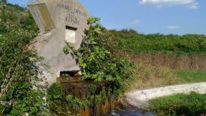 I Fontanili della Campagna Romana- Fontanile di via Santa Maria di Galeria Foto di Grazia Amici