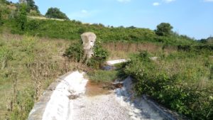 I Fontanili della Campagna Romana- Fontanile di via Santa Maria di Galeria Foto di Grazia Amici