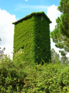 Serbatoi idrici della Campagna Romana- Serbatoio della TORRE della RESIDENZA AURELIA di Castel di Guido