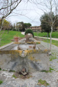 I Fontanili della Campagna Romana-Borgo Tragliata