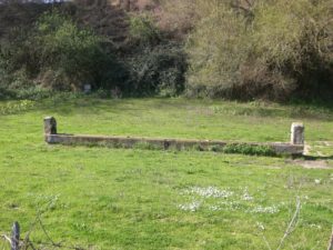 I Fontanili della Campagna Romana-Fontanile Tenuta di Boccea