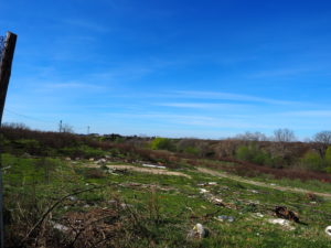 Foto Sito Archeologico marzo 2017 --MASSIMINA - MASSA GALLESINA (via Monachina-via Fosso della Questione)-CASAL SELCE -