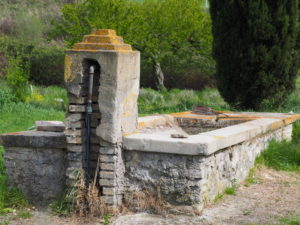 I Fontanili della Campagna Romana-Castel di Guido-Fontanile di via Filippo Ferri Mancini-