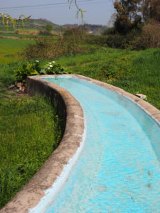 I Fontanili della Campagna Romana-Fontanile di Mezzaluna-Castel di Guido