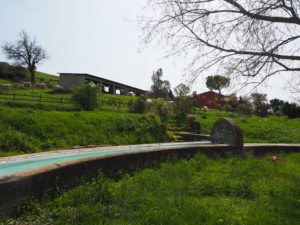 I Fontanili della Campagna Romana-Fontanile di Mezzaluna-Castel di Guido