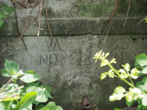 I Fontanili della Campagna Romana- Piccolo fontanile sito su via di Castel di Guido-ex-Via Aurelia . Nelle vicinanze del Cimitero, lato sn- spalle Roma- Fontanile costruito nel 1931-Foto Franco Leggeri-