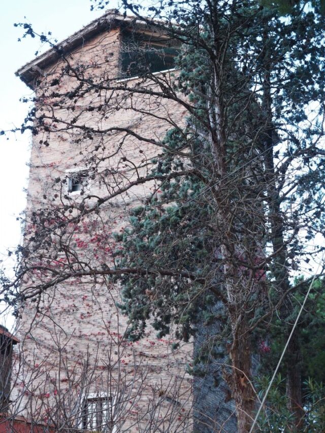 Serbatoi idrici della Campagna Romana- Serbatoio della TORRE della RESIDENZA AURELIA di Castel di Guido