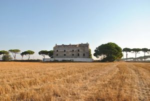 Castel di Guido-Il Degrado del Sito Archeologico Casale della Bottaccia