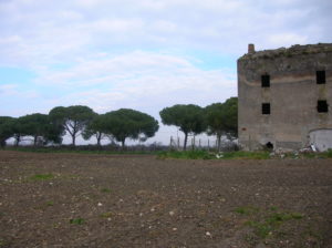 Castel di Guido-Il Degrado del Sito Archeologico Casale della Bottaccia