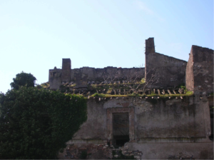 Castel di Guido-Il Degrado del Sito Archeologico Casale della Bottaccia- ATTUALE LUPANARE