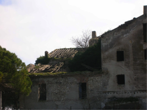 Castel di Guido-Il Degrado del Sito Archeologico Casale della Bottaccia- 