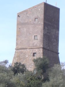 TORRE IN PIETRA- Torre di Pagliaccetto