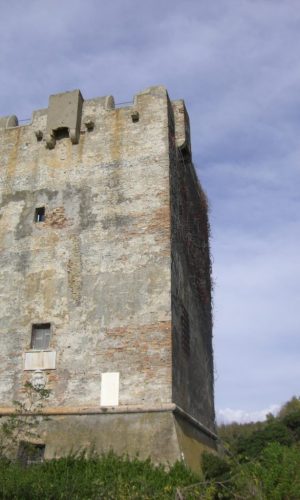 PALIDORO-Torre Perla