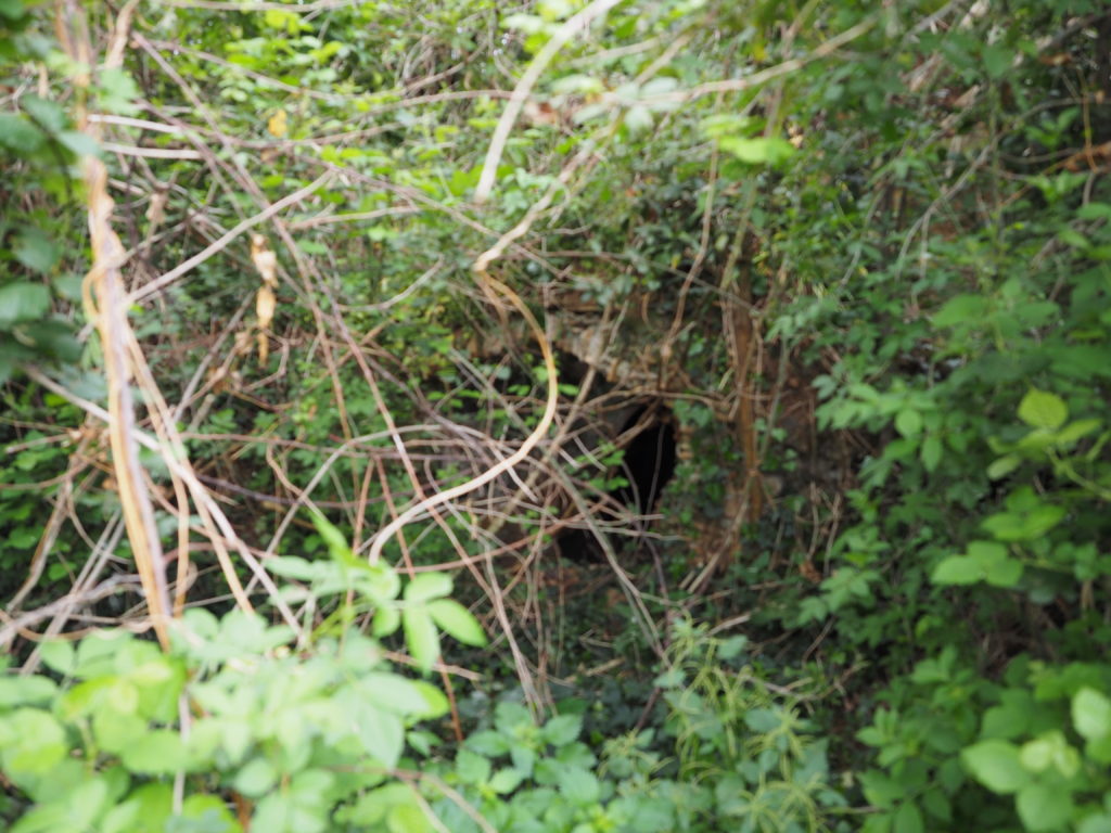 Roma- Municipio XIII-Tenuta dell’ACQUAFREDDA:” tomba etrusca del VII secolo a.C.”