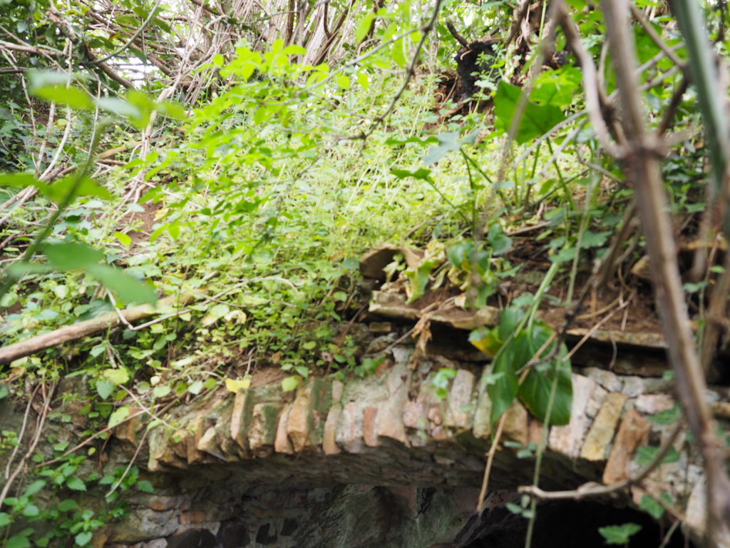 Roma- Municipio XIII-Tenuta dell’ACQUAFREDDA:” tomba etrusca del VII secolo a.C.”