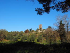 TORRE IN PIETRA- Torre di Pagliaccetto