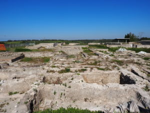 Castel di Guido- - 22 aprile 2017-GAR- Sessione di scavo Villa Romana delle Colonnacce