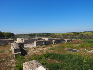 Castel di Guido- - 22 aprile 2017-GAR- Sessione di scavo Villa Romana delle Colonnacce .