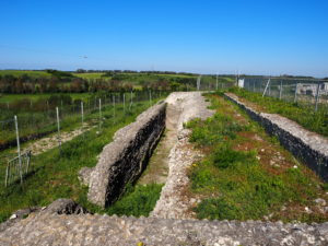 CASTEL DI GUIDO, VILLA ROMANA DELLE COLONNACCE : “Il Giardino Antico”