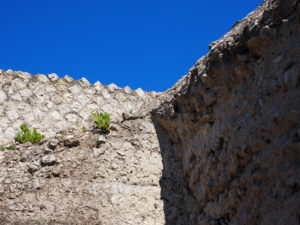 Castel di Guido- - 22 aprile 2017-GAR- Sessione di scavo Villa Romana delle Colonnacce .