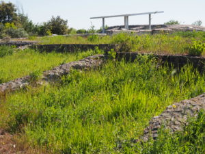 CASTEL DI GUIDO, VILLA ROMANA DELLE COLONNACCE : “Il Giardino Antico”