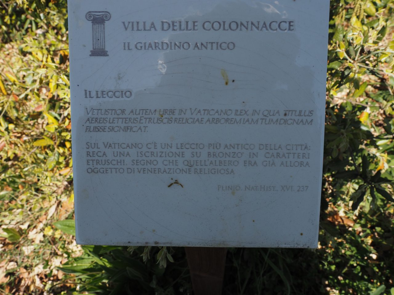 CASTEL DI GUIDO, VILLA ROMANA DELLE COLONNACCE : “Il Giardino Antico”
