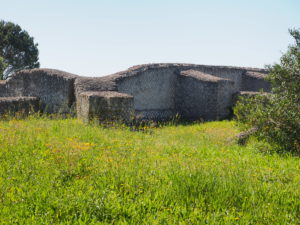 Castel di Guido- - 22 aprile 2017-GAR- Sessione di scavo Villa Romana delle Colonnacce .