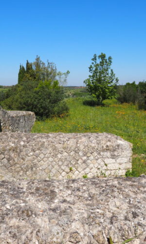 CASTEL DI GUIDO, VILLA ROMANA DELLE COLONNACCE : “Il Giardino Antico”