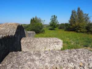 CASTEL DI GUIDO, VILLA ROMANA DELLE COLONNACCE : “Il Giardino Antico”