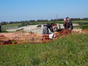 Castel di Guido- - 22 aprile 2017-GAR- Sessione di scavo Villa Romana delle Colonnacce