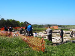 Castel di Guido- - 22 aprile 2017-GAR- Sessione di scavo Villa Romana delle Colonnacce .