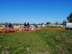 Castel di Guido- - 22 aprile 2017-GAR- Sessione di scavo Villa Romana delle Colonnacce .