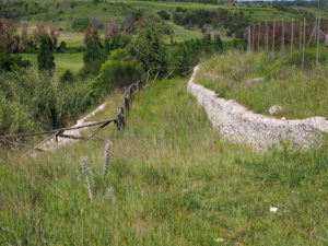 Castel di Guido- - 22 aprile 2017-GAR- Sessione di scavo Villa Romana delle Colonnacce .