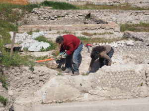 Castel di Guido- - 22 aprile 2017-GAR- Sessione di scavo Villa Romana delle Colonnacce .